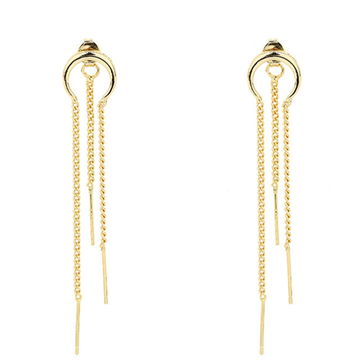 Silver Moon Crescent Chain Earrings Dark Tiger